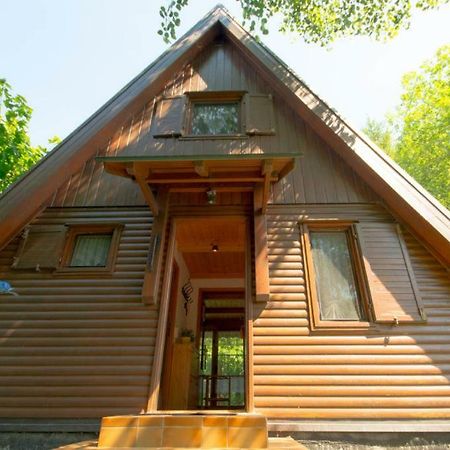 Ferienhaus Ederer Waldmünchen Εξωτερικό φωτογραφία