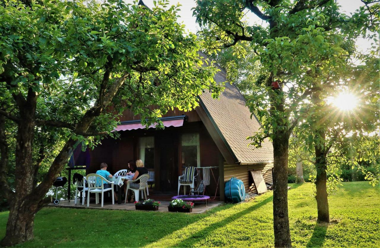 Ferienhaus Ederer Waldmünchen Εξωτερικό φωτογραφία
