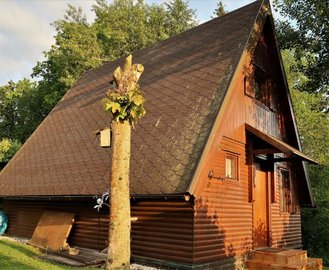 Ferienhaus Ederer Waldmünchen Εξωτερικό φωτογραφία